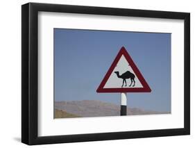 Camel Road Sign, Wahiba, Oman, Middle East-Angelo Cavalli-Framed Photographic Print