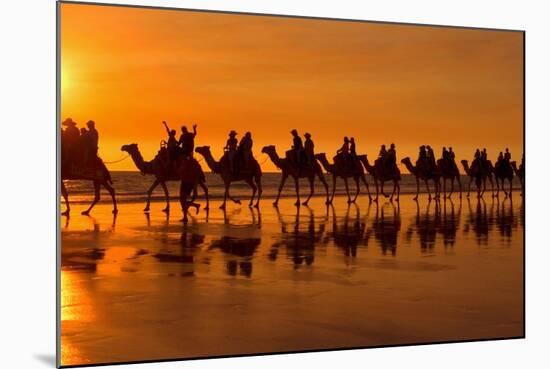 Camel Safari Famous Camel Safari on Broom's Cable-null-Mounted Photographic Print