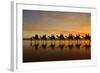 Camel Safari Famous Camel Safari on Broom's Cable-null-Framed Photographic Print