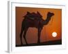 Camel Silhouetted Against the Setting Sun in the Thar Desert Near Jaisalmer, India-Frances Gallogly-Framed Photographic Print