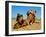 Camel Sleeping during a Desert Safari Pause-paul prescott-Framed Photographic Print