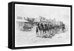 Camel Team, Wilcannia, New South Wales, Australia, 1886-null-Framed Stretched Canvas