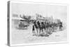 Camel Team, Wilcannia, New South Wales, Australia, 1886-null-Stretched Canvas