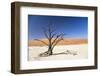 Camel Thorn Tree - Deadvlei-Otto du Plessis-Framed Photographic Print