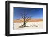 Camel Thorn Tree - Deadvlei-Otto du Plessis-Framed Photographic Print