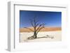 Camel Thorn Tree - Deadvlei-Otto du Plessis-Framed Photographic Print