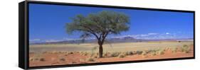 Camel Thorn Tree in Desert Landscape, Namib Rand, Namib Naukluft Park, Namibia, Africa-Lee Frost-Framed Stretched Canvas