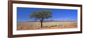 Camel Thorn Tree in Desert Landscape, Namib Rand, Namib Naukluft Park, Namibia, Africa-Lee Frost-Framed Photographic Print