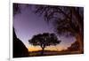 Camel thorn tree silhouetted at sunset in the desert, Namibia-Emanuele Biggi-Framed Photographic Print