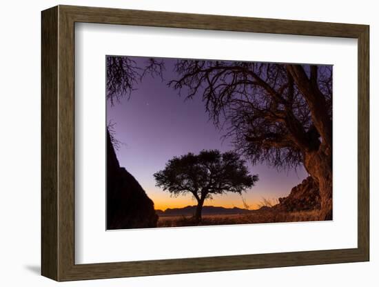 Camel thorn tree silhouetted at sunset in the desert, Namibia-Emanuele Biggi-Framed Photographic Print