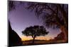 Camel thorn tree silhouetted at sunset in the desert, Namibia-Emanuele Biggi-Mounted Photographic Print