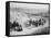 Camel Tour, Giza, Egypt, C1920S-C1930S-null-Framed Stretched Canvas