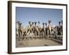 Camel Traders at the Early Morning Livestock Market in Hargeisa, Somaliland, Somalia, Africa-Mcconnell Andrew-Framed Photographic Print