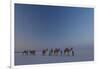 Camel Train, India-Art Wolfe-Framed Photographic Print