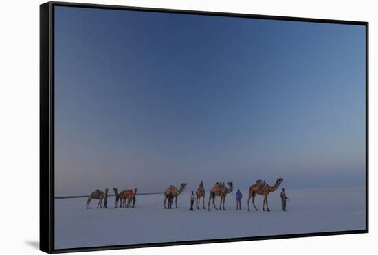 Camel Train, India-Art Wolfe-Framed Stretched Canvas