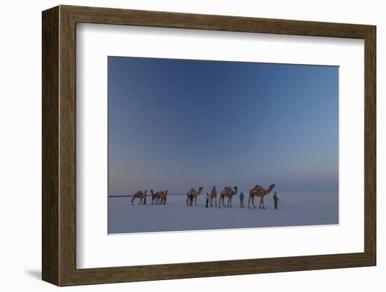 Camel Train, India-Art Wolfe-Framed Photographic Print