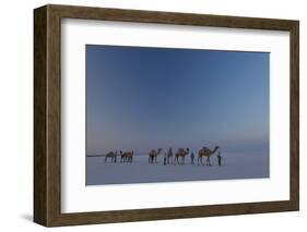 Camel Train, India-Art Wolfe-Framed Photographic Print