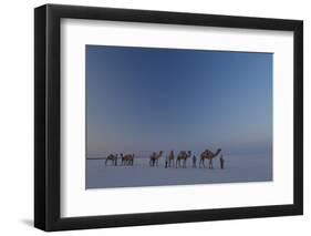 Camel Train, India-Art Wolfe-Framed Photographic Print