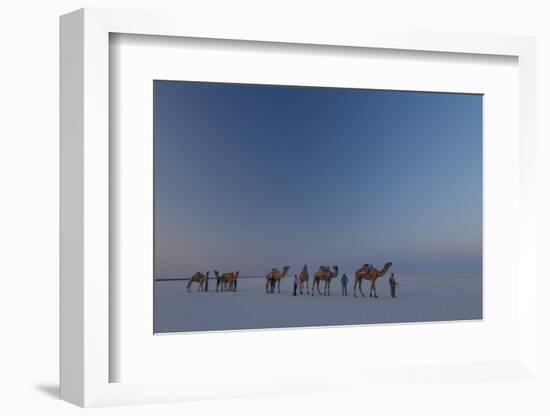 Camel Train, India-Art Wolfe-Framed Photographic Print
