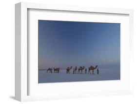 Camel Train, India-Art Wolfe-Framed Photographic Print