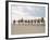 Camel Train Led by Afar Nomad in Very Hot and Dry Desert, Danakil Depression, Ethiopia, Africa-Tony Waltham-Framed Photographic Print