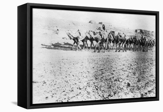 Camel Train, Mosul, Mesopotamia, 1918-null-Framed Stretched Canvas