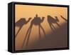 Camel Train Shadows, Erg Chebbi, Sahara Desert, Morocco-Peter Adams-Framed Stretched Canvas