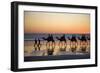 Camel Train Taking Tourists for a Ride at Cable-null-Framed Photographic Print