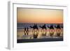 Camel Train Taking Tourists for a Ride at Cable-null-Framed Photographic Print