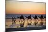 Camel Train Taking Tourists for a Ride at Cable-null-Mounted Photographic Print