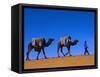 Camel Train Through Desert, Morocco, North Africa-Bruno Morandi-Framed Stretched Canvas