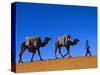 Camel Train Through Desert, Morocco, North Africa-Bruno Morandi-Stretched Canvas