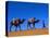 Camel Train Through Desert, Morocco, North Africa-Bruno Morandi-Stretched Canvas