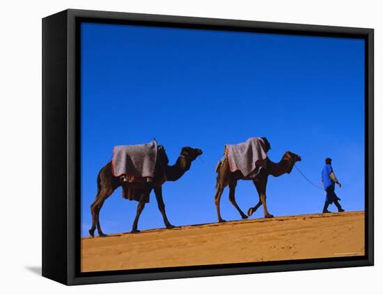 Camel Train Through Desert, Morocco, North Africa-Bruno Morandi-Framed Stretched Canvas