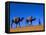 Camel Train Through Desert, Morocco, North Africa-Bruno Morandi-Framed Stretched Canvas