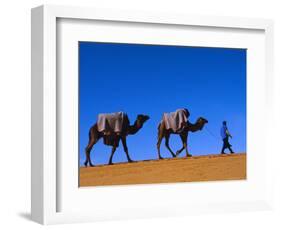 Camel Train Through Desert, Morocco, North Africa-Bruno Morandi-Framed Photographic Print