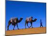 Camel Train Through Desert, Morocco, North Africa-Bruno Morandi-Mounted Photographic Print