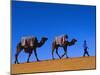 Camel Train Through Desert, Morocco, North Africa-Bruno Morandi-Mounted Photographic Print