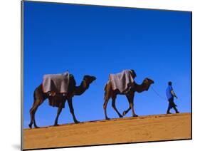 Camel Train Through Desert, Morocco, North Africa-Bruno Morandi-Mounted Photographic Print