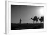 Camel Trip, Jordan-Dan Ballard-Framed Photographic Print