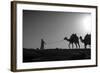 Camel Trip, Jordan-Dan Ballard-Framed Photographic Print