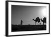 Camel Trip, Jordan-Dan Ballard-Framed Photographic Print