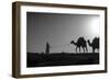 Camel Trip, Jordan-Dan Ballard-Framed Photographic Print