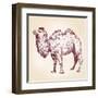 Camel Vector Illustration-VladisChern-Framed Art Print