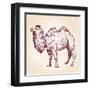 Camel Vector Illustration-VladisChern-Framed Art Print