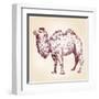 Camel Vector Illustration-VladisChern-Framed Art Print