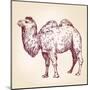 Camel Vector Illustration-VladisChern-Mounted Art Print