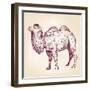 Camel Vector Illustration-VladisChern-Framed Art Print