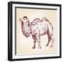 Camel Vector Illustration-VladisChern-Framed Art Print