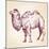 Camel Vector Illustration-VladisChern-Mounted Art Print